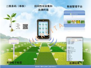 推動信息技術集成應用，助力現代農業轉型升級的優秀案例